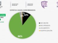 Estatus de Casos Confirmados COVID-19