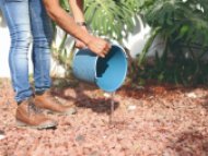 Pide SSM mantener saneamiento básico para evitar criaderos de mosquitos