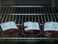 Integran trabajadores de Salud una red de donadores voluntarios de sangre