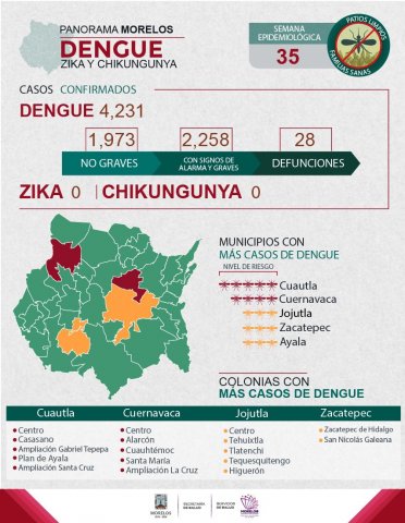 <a href="/noticias/combate-ssm-mosquito-del-dengue-en-municipios-con-mas-casos">Combate SSM mosquito del dengue en municipios con más casos</a>