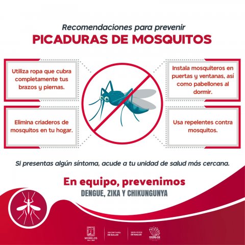 <a href="/noticias/pide-ssm-tomar-medidas-preventivas-contra-dengue-ante-regreso-clases">Pide SSM tomar medidas preventivas contra dengue ante regreso a clases</a>