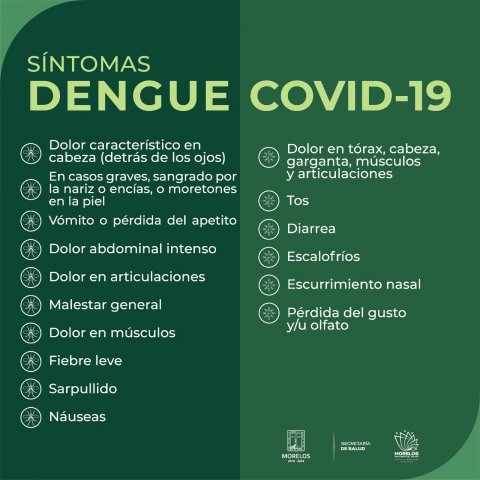 Recomienda SSM a mantener medidas preventivas para evitar dengue, zika y chikungunya en temporada decembrina
