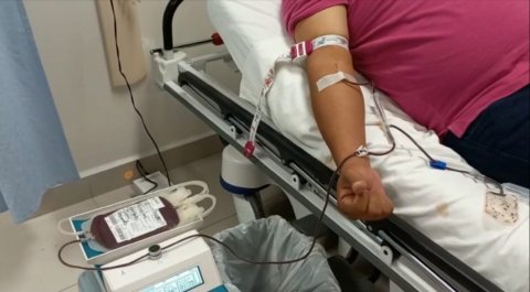 <a href="/noticias/pide-ssm-sumarse-donacion-de-sangre-en-el-hospital-general-de-jojutla">Pide SSM sumarse a donación de sangre en el Hospital General de Jojutla</a>