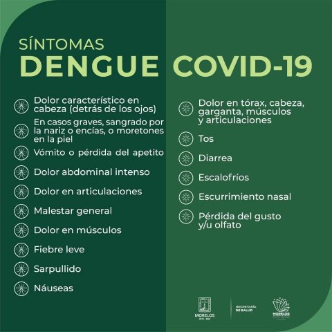 Pide SSM identificar signos y síntomas de dengue