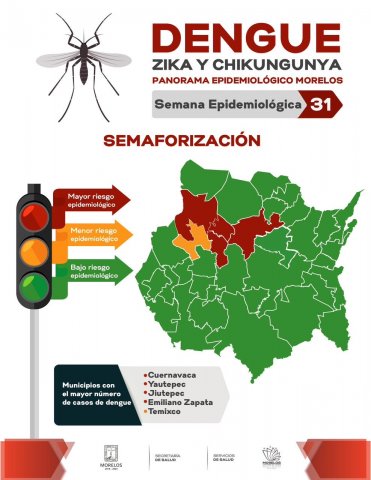 Panorama Estatal Dengue