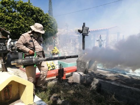 <a href="/noticias/realiza-ssm-acciones-contra-dengue-zika-y-chikungunya-en-cuautla">Realiza SSM acciones contra dengue, zika y chikungunya en Cuautla</a>