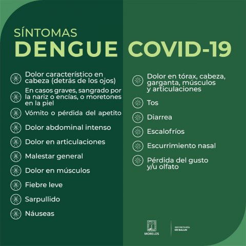 Importante detectar síntomas de dengue y COVID-19: SSM