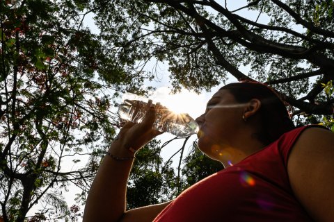 <a href="/noticias/consumir-suficiente-agua-simple-es-de-vital-importancia-para-una-buena-hidratacion-salud">Consumir suficiente agua simple es de vital importancia para una buena hidratación: Salud Mo...</a>