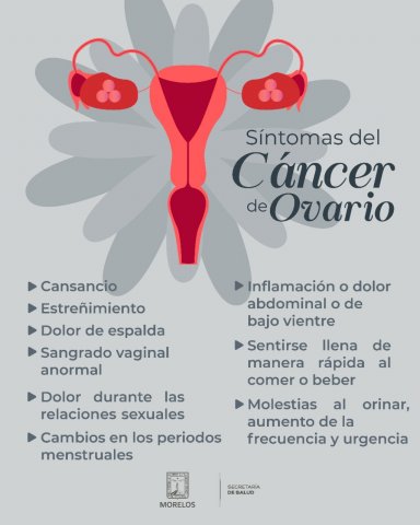 <a href="/noticias/emite-ssm-recomendaciones-para-reducir-el-riesgo-de-cancer-de-ovario">Emite SSM recomendaciones para reducir el riesgo de cáncer de ovario</a>