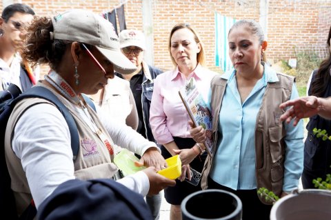 <a href="/noticias/fortalecen-autoridades-sanitarias-acciones-contra-el-dengue">Fortalecen autoridades sanitarias acciones contra el dengue</a>